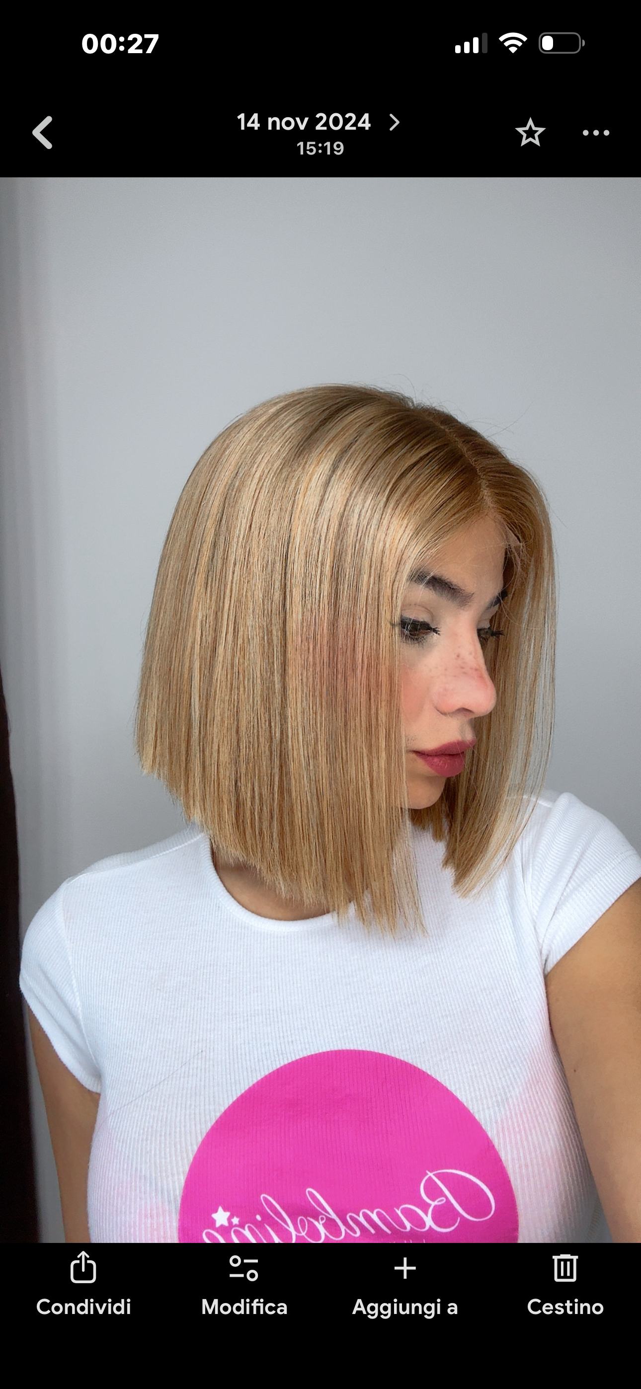 Camila Wig