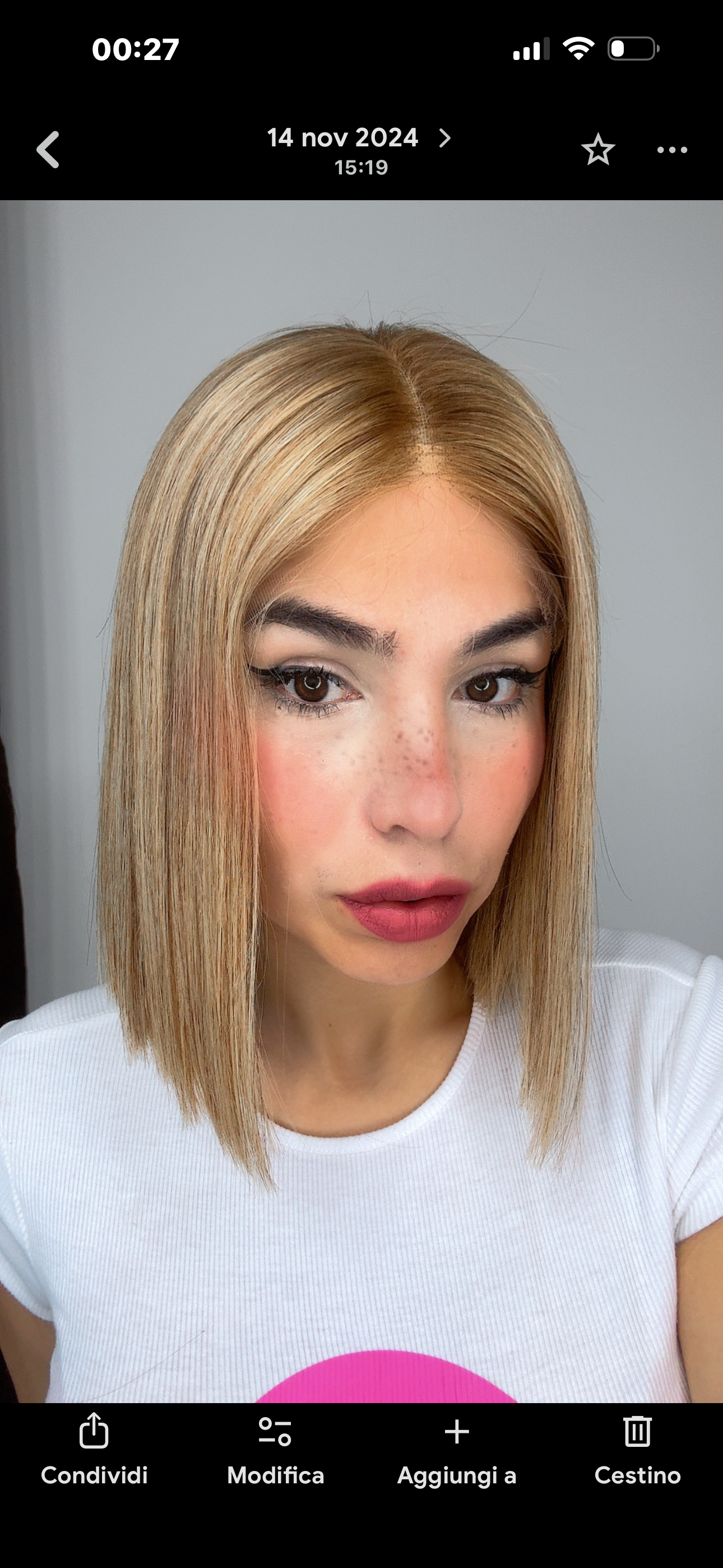 Camila Wig