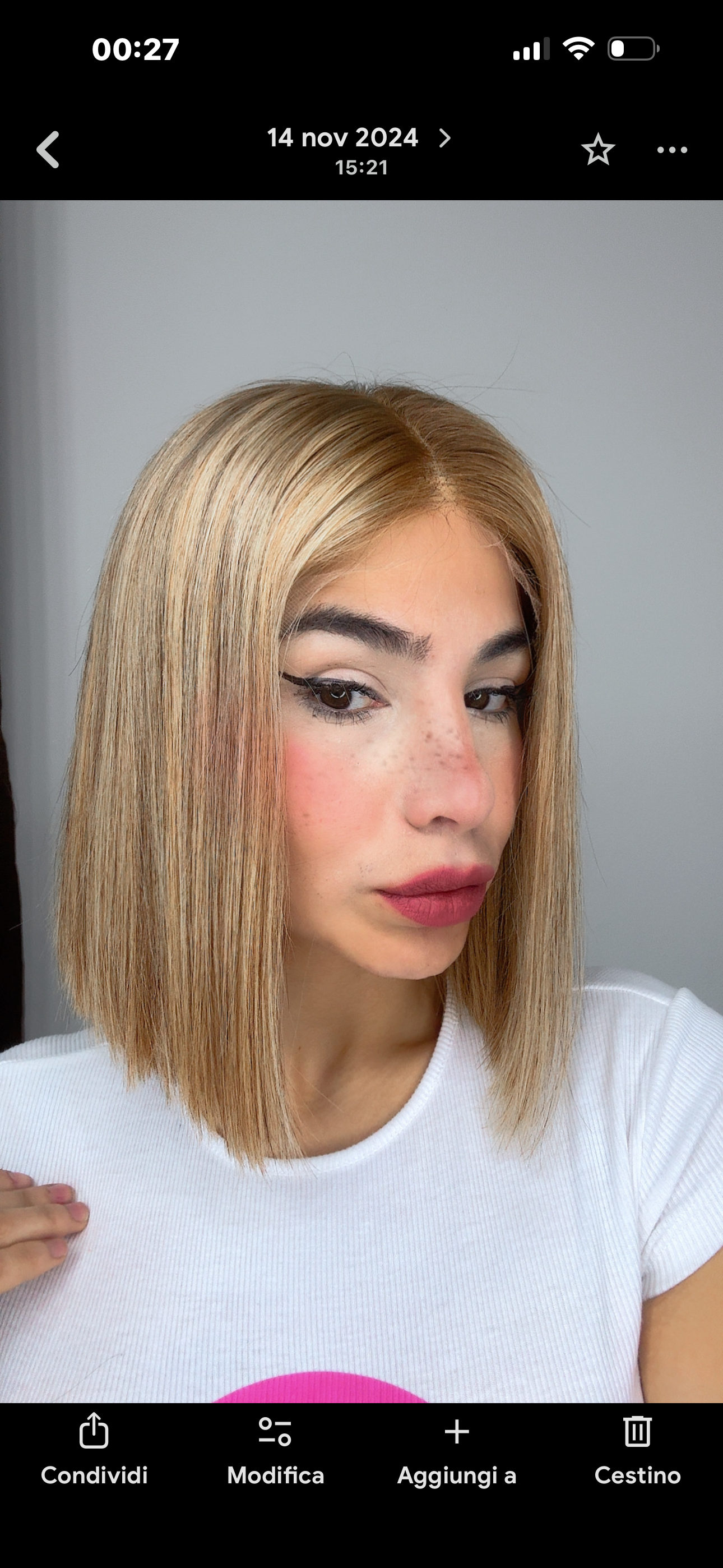 Camila Wig