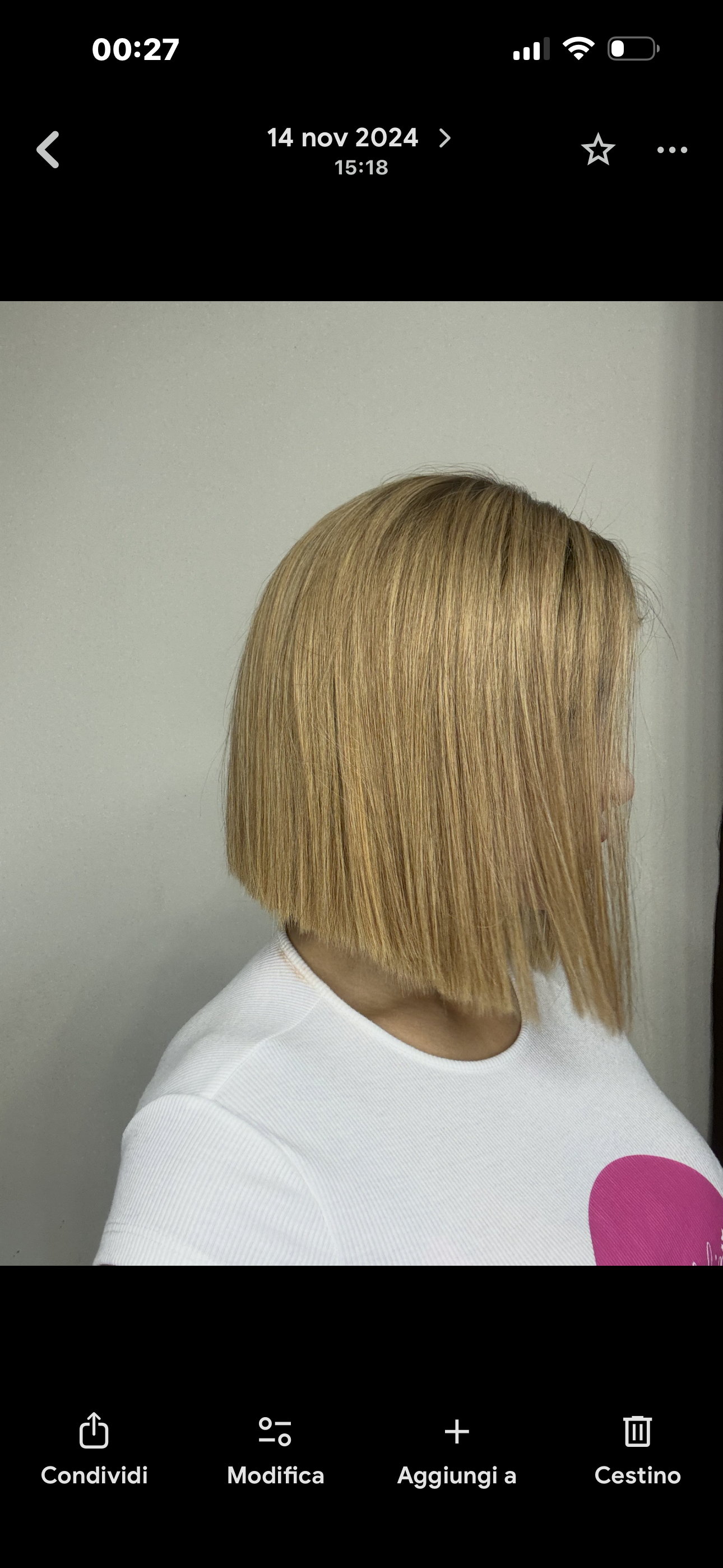 Camila Wig